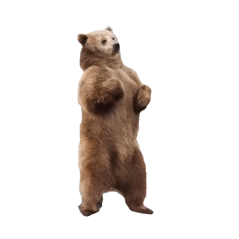fixedfloat faq